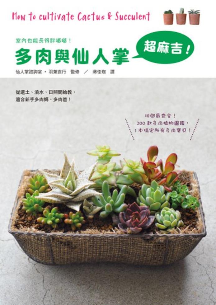 墨綠| - 一些群生的肉. ▫️ 🔅景天科/ #景天科#Crassulaceae